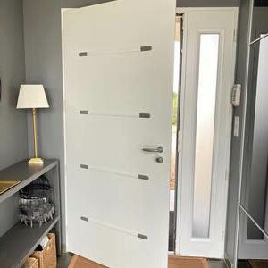 Porte d'entrée d'habitation particulière en aluminium bicolore